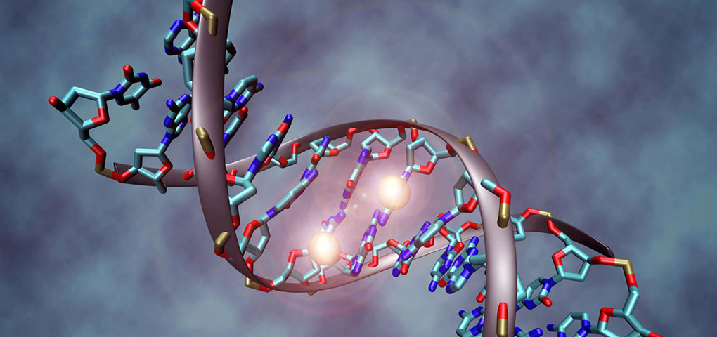 استارتاپی برای تولید سریع و دقیق DNA مصنوعی